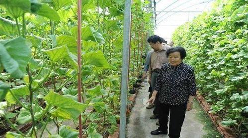 东营吃瓜最新事件爆料是真的吗,真相揭秘还是网络谣言？