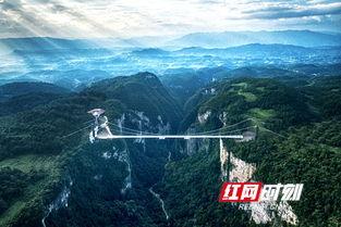 张家界吃瓜爆料新闻报道,揭秘当地美食背后的故事