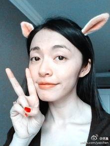 各种明星网红h,璀璨星光下的网络影响力解析