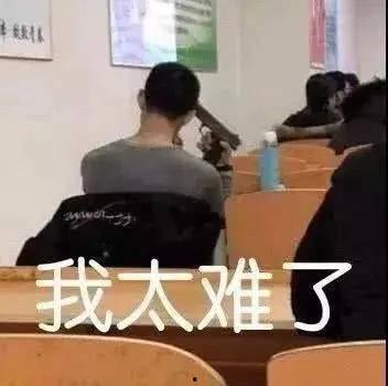 辍学当明星网红,从平凡到闪耀的蜕变之旅