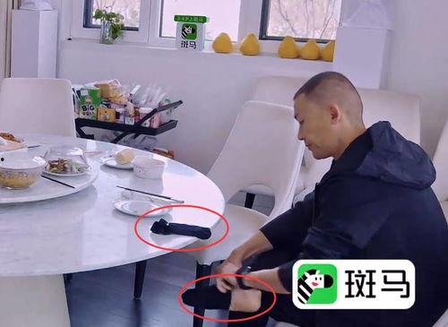 全家人带凳吃瓜真千金爆料了小说,真千金与假千金背后的秘密