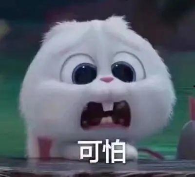 山东吃瓜爆料事件真相是真的吗,真相揭秘，还原事件始末