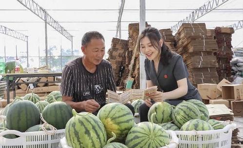 在瓜田里吃瓜真千金爆料,揭秘娱乐圈的惊人爆料