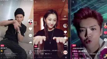 明星网红解说视频,网红明星解说带你领略精彩瞬间