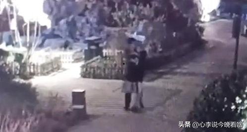 凉山吃瓜爆料事件视频完整版,视频完整版揭秘惊人内幕