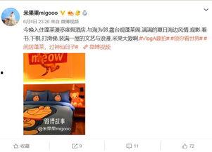 明星网红打卡圣地,明星同款热门景点大盘点
