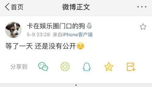 喜欢吃瓜的爆料者是谁啊,是谁在幕后推动娱乐圈风云？