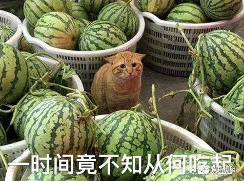 第一吃瓜黑料,真相背后的惊人内幕