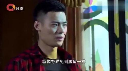 明星网红恶毒后妈,明星家庭背后的惊人真相