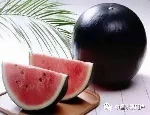 黑料吃瓜5g