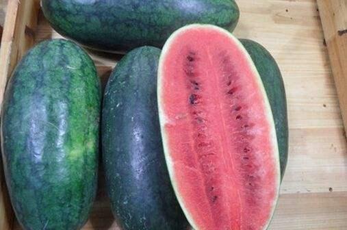 顶级名媛黑料吃瓜在线,那些不为人知的黑料与八卦