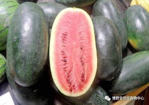 52爆料吃瓜黑料每日大赛聚集地,揭秘吃瓜黑料每日大赛聚集地，揭秘娱乐圈幕后真相