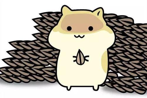 娱乐圈吃瓜爆料pdf知乎小霞,揭秘知乎小霞背后的故事