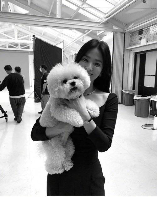 911红领巾吃瓜爆料三只羊,911红领巾吃瓜爆料，三只羊背后的惊人真相