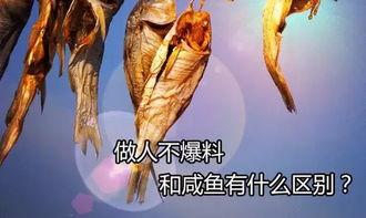 911红领巾吃瓜爆料三只羊,911红领巾吃瓜爆料，三只羊背后的惊人真相