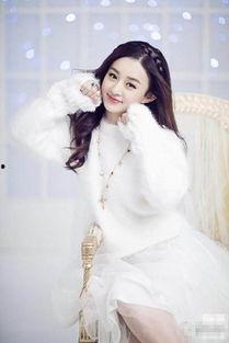 明星网红成名之路