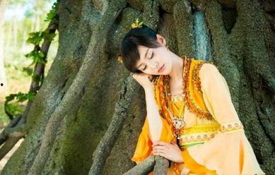 明星网红成名之路