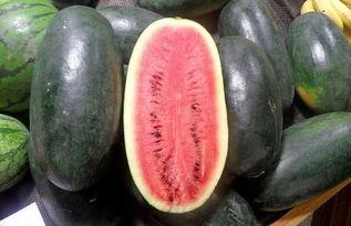 吃瓜爆料网红黑料区别在哪,揭秘吃瓜爆料与网红黑料之间的本质区别