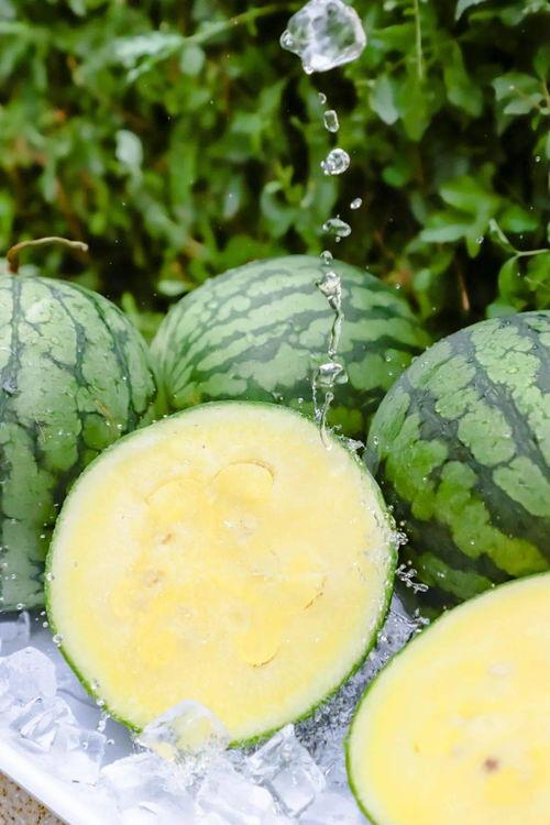 155fun.黑料吃瓜,一场网络吃瓜盛宴