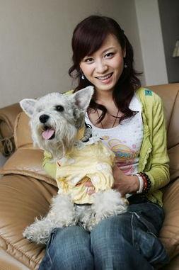 犬系明星网红,萌宠界的璀璨之星