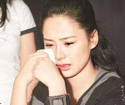 安装明星网红台,打造时尚娱乐新风向