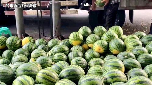 淄博吃瓜爆料事件真相揭秘,真相大白，还原事件全貌