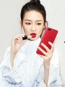 怀化请明星网红,怀化盛邀明星网红共筑网红经济新篇章