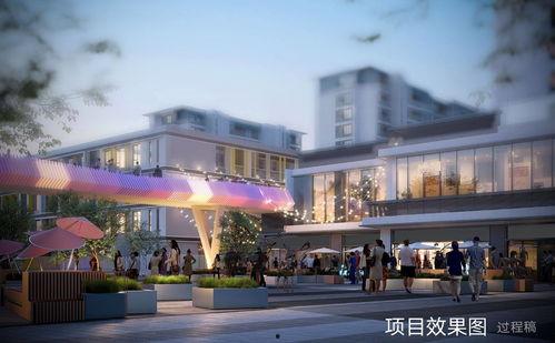 吃瓜爆料大全网站上海二中,吃瓜爆料大全网站揭秘校园风云