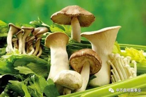 蘑菇吃瓜官网黑料爆料访问安全,深度解析网络爆料背后的真相