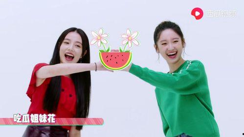 吃瓜爆料女装视频大全免费观看,女装视频大全，揭秘时尚潮流盛宴