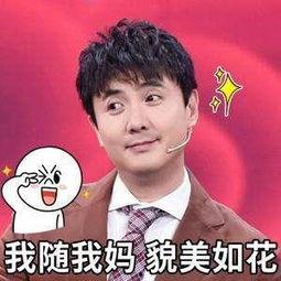 沈腾爆料吃瓜事件真相是什么,揭秘背后真相