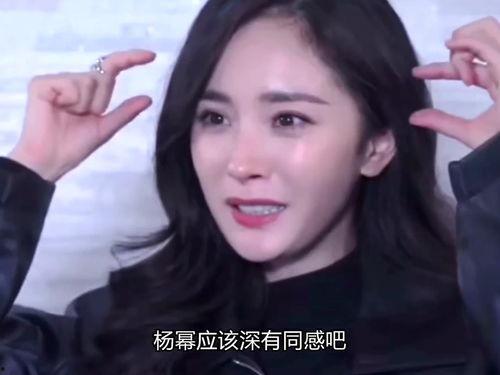 明星网红谁火,盘点当下最火明星网红