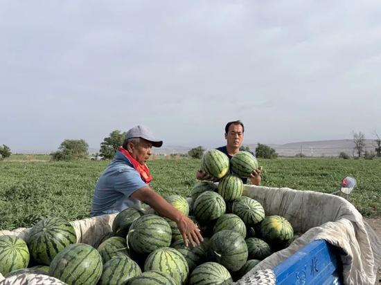 51国产爆料吃瓜一区二区,一区二区风云再起，揭秘娱乐圈幕后真相