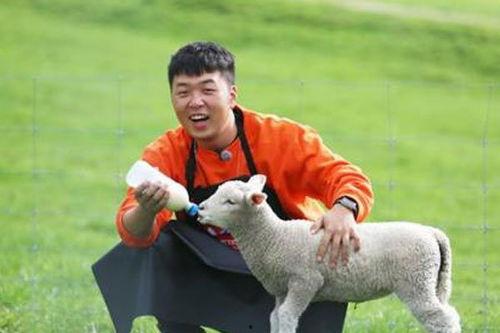 911吃瓜爆料官网小僵尸柚子猫,小僵尸柚子猫背后的故事