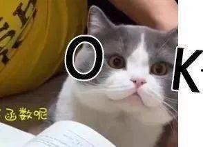 吃瓜爆料官网小僵尸柚子猫,吃瓜爆料官网的神秘萌宠传奇