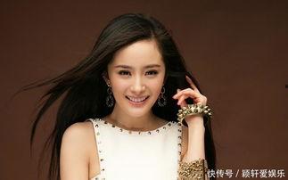 明星网红宣传沈阳,明星网红助力城市形象新篇章