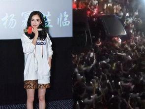 明星网红路演,路演盛宴精彩纷呈