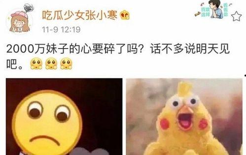 吃瓜少女张小寒爆料是哪一集