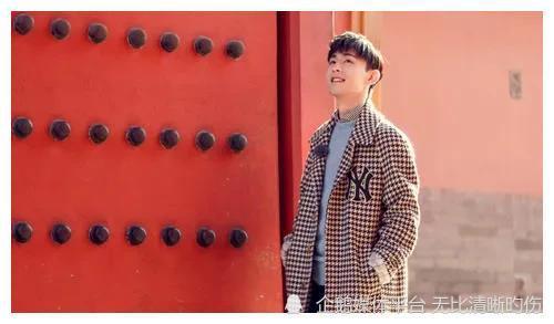 偷税的明星网红,税务违规背后的真相与反思