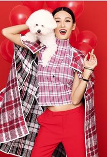 明星网红收入pk,揭秘谁是吸金王